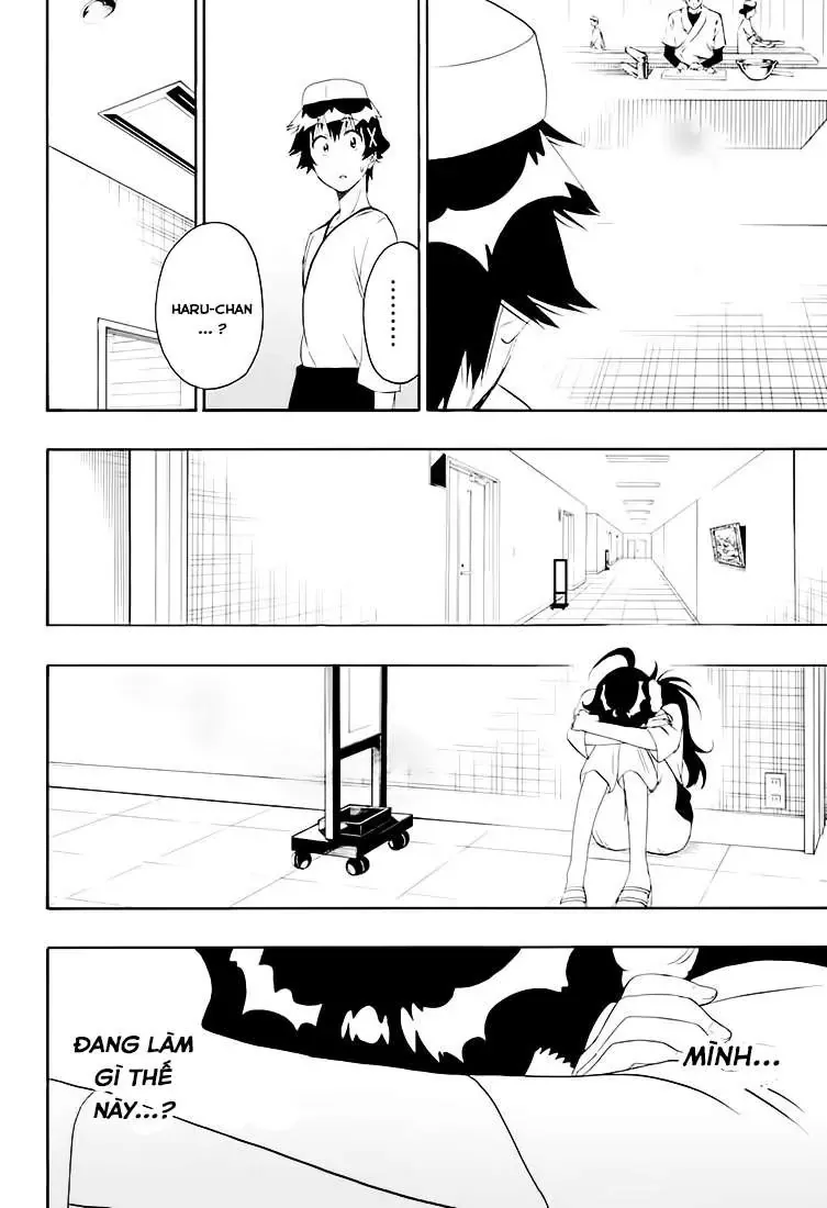 Nisekoi Chapter 202 - 15