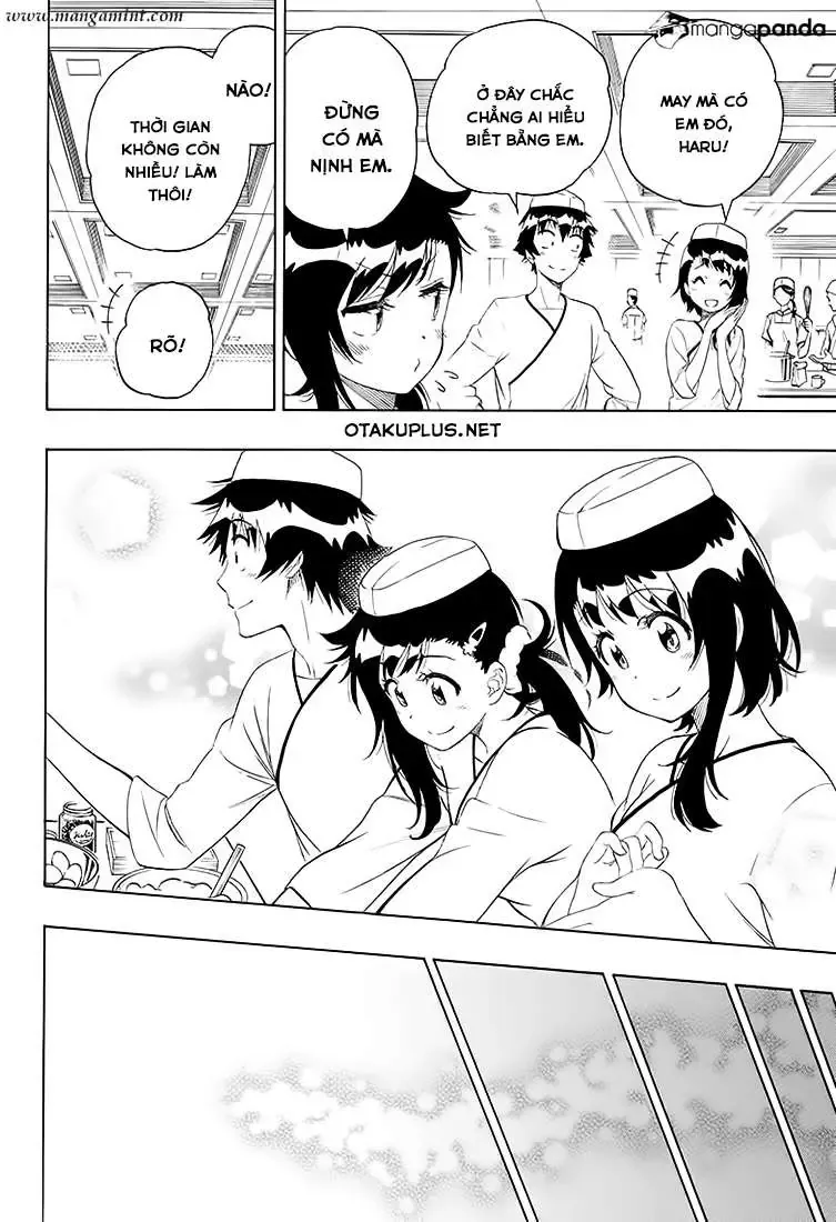 Nisekoi Chapter 203 - 11