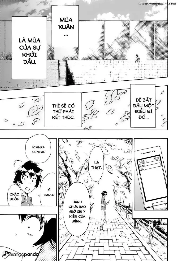 Nisekoi Chapter 203 - 16