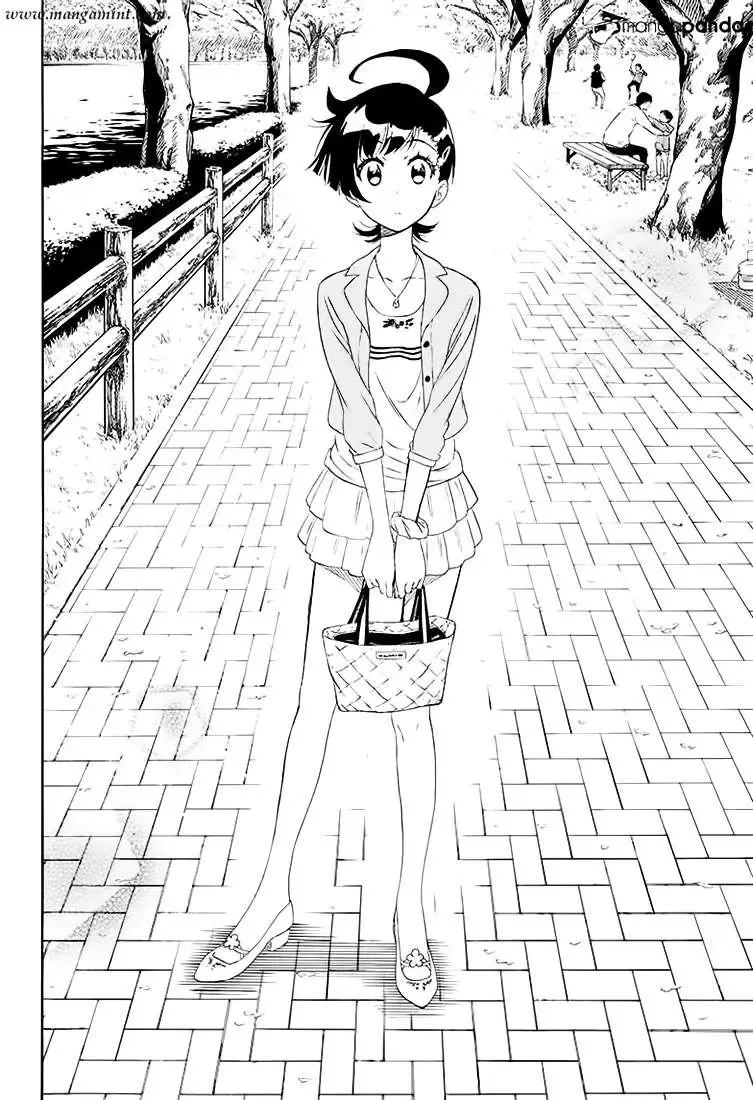 Nisekoi Chapter 203 - 17