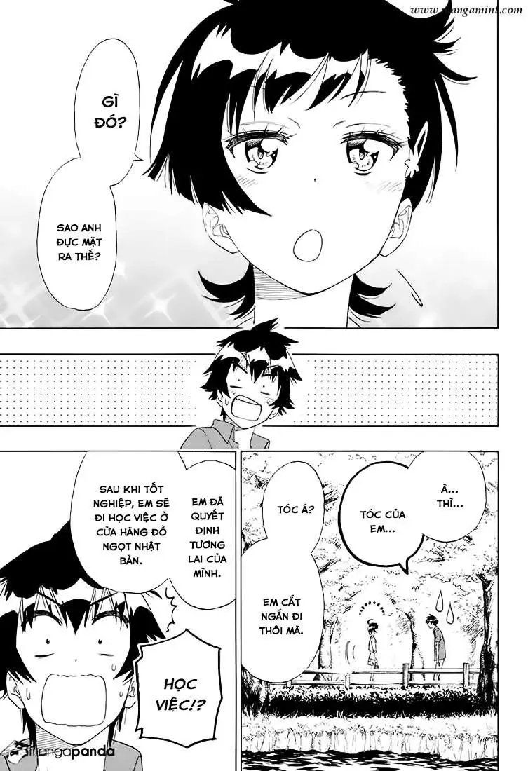 Nisekoi Chapter 203 - 18
