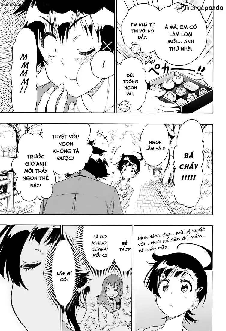 Nisekoi Chapter 203 - 20