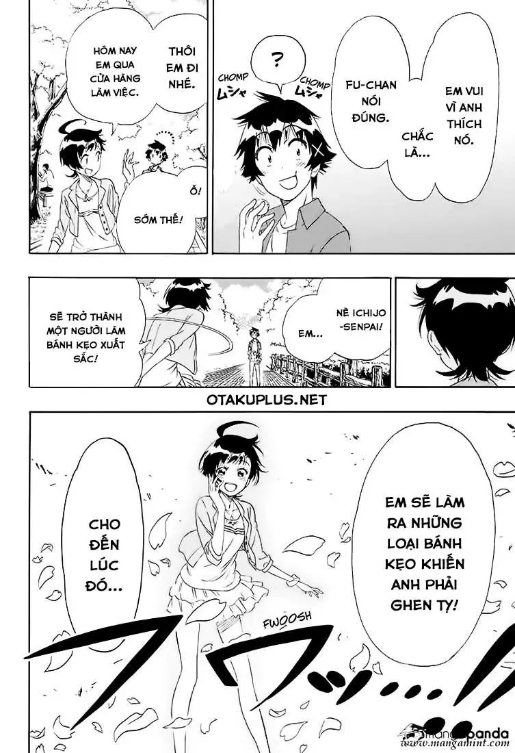 Nisekoi Chapter 203 - 21