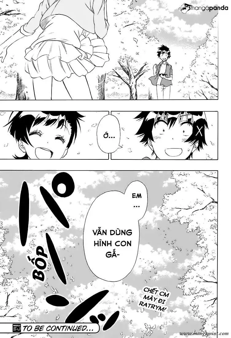 Nisekoi Chapter 203 - 22