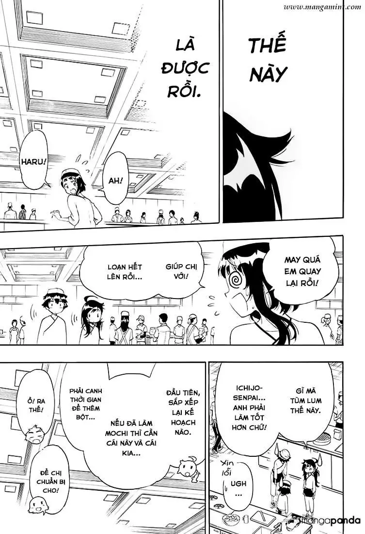 Nisekoi Chapter 203 - 10