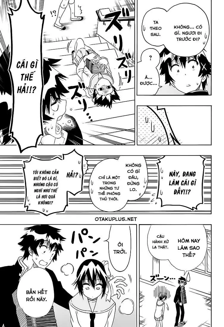 Nisekoi Chapter 205 - 11