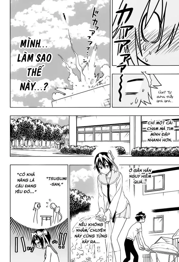 Nisekoi Chapter 205 - 12