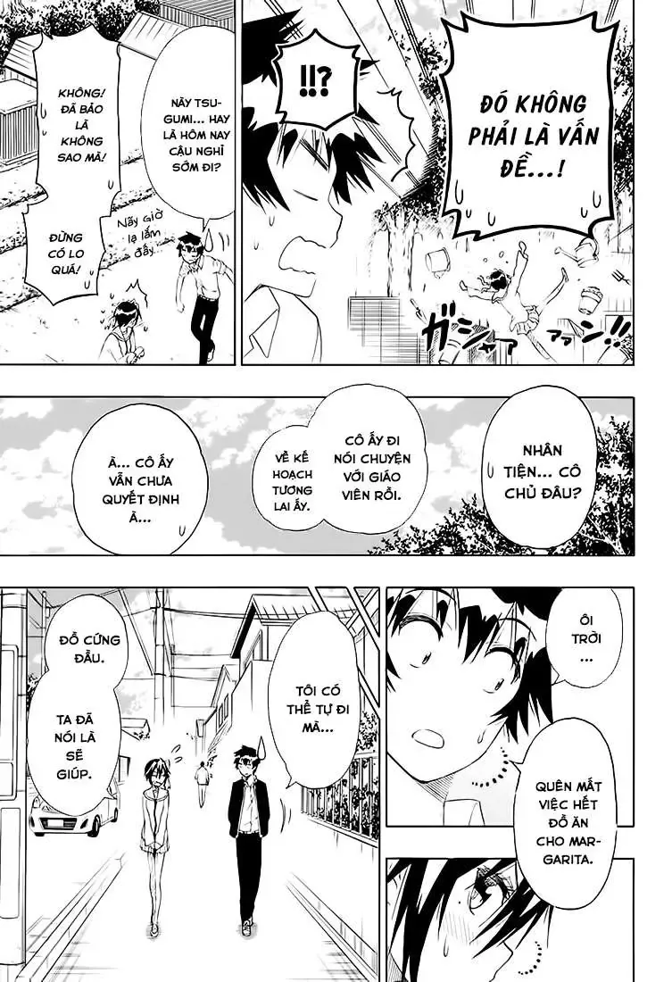 Nisekoi Chapter 205 - 13