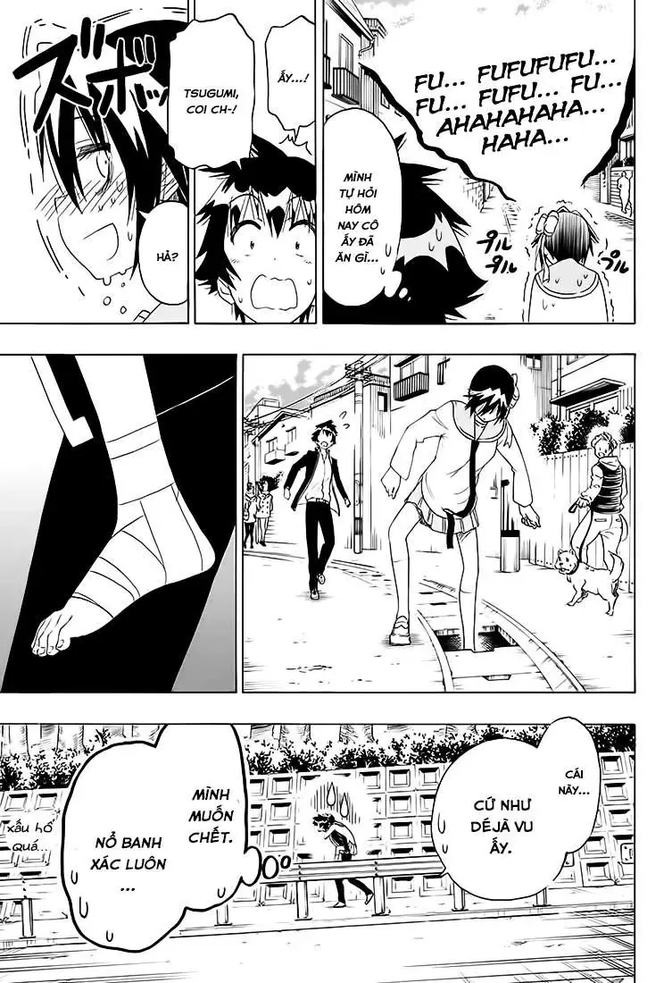 Nisekoi Chapter 205 - 15