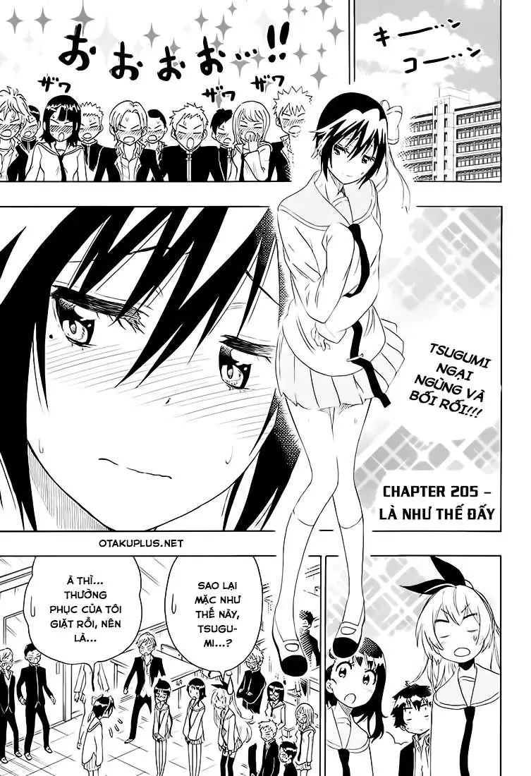 Nisekoi Chapter 205 - 5