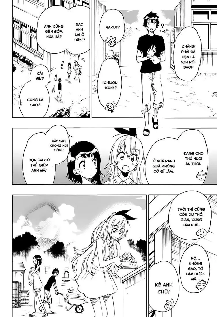 Nisekoi Chapter 210 - 19