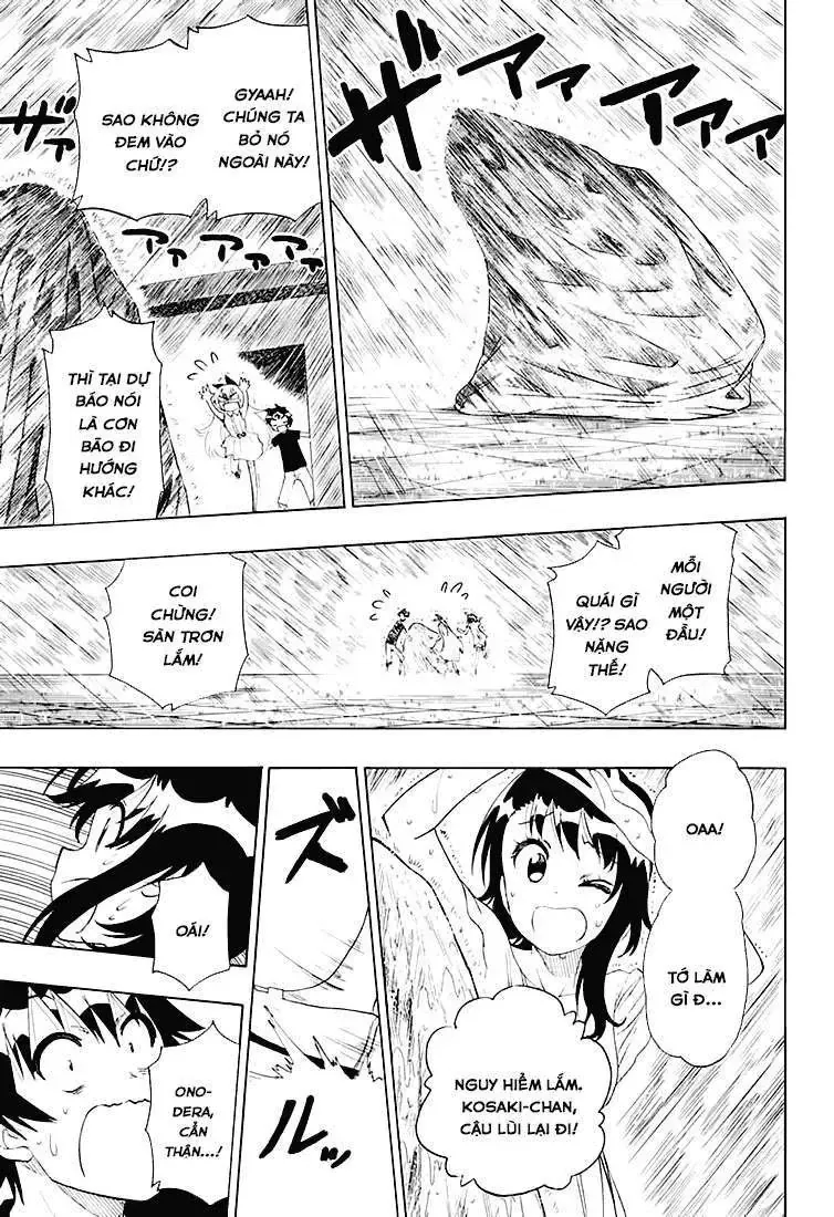 Nisekoi Chapter 211 - 13