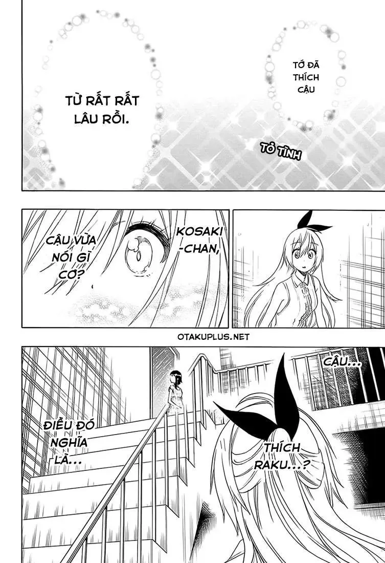 Nisekoi Chapter 212 - 2