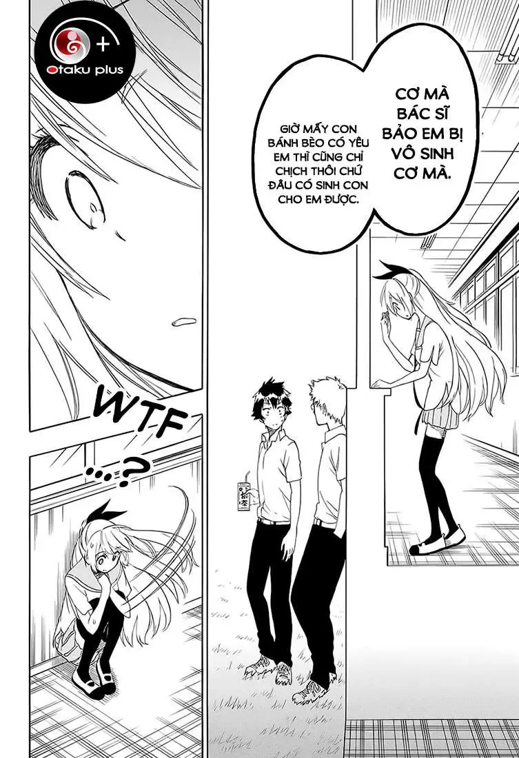 Nisekoi Chapter 212 - 20