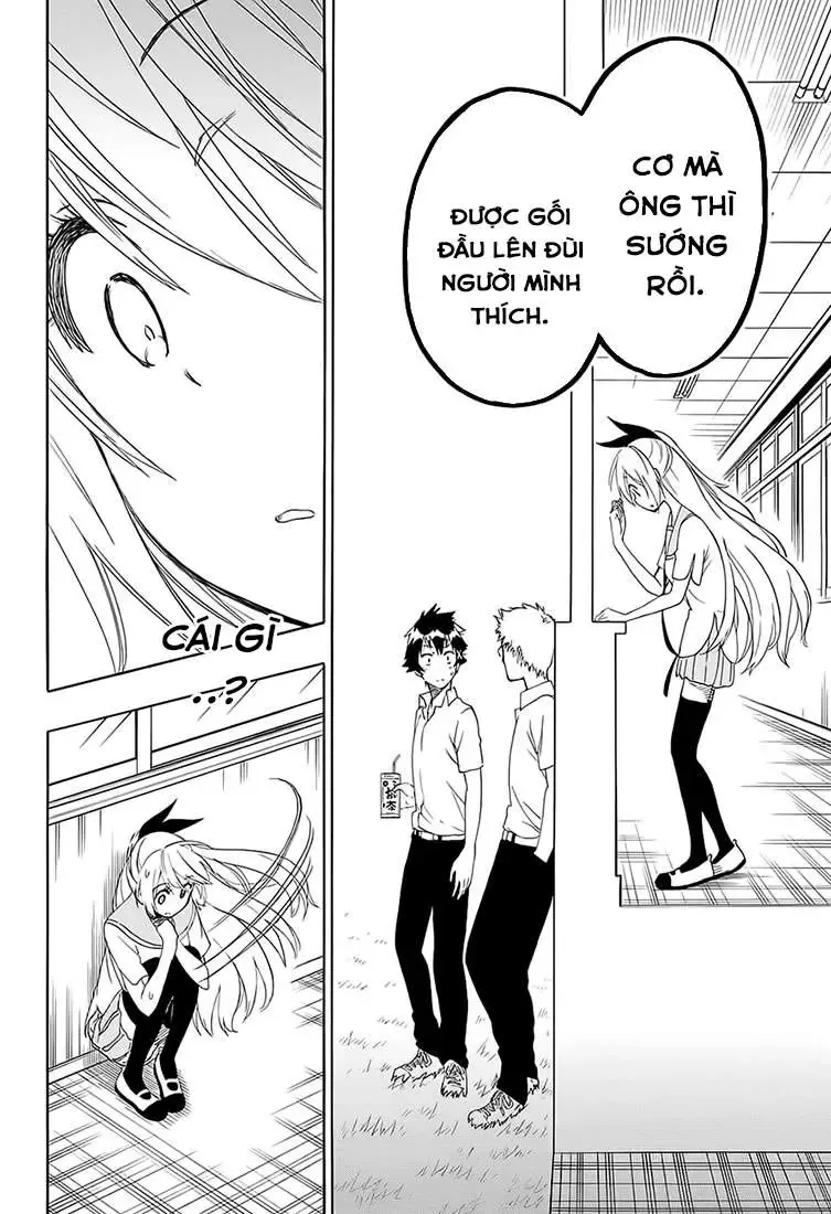 Nisekoi Chapter 212 - 10