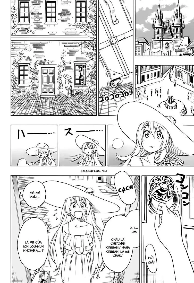 Nisekoi Chapter 216 - 11