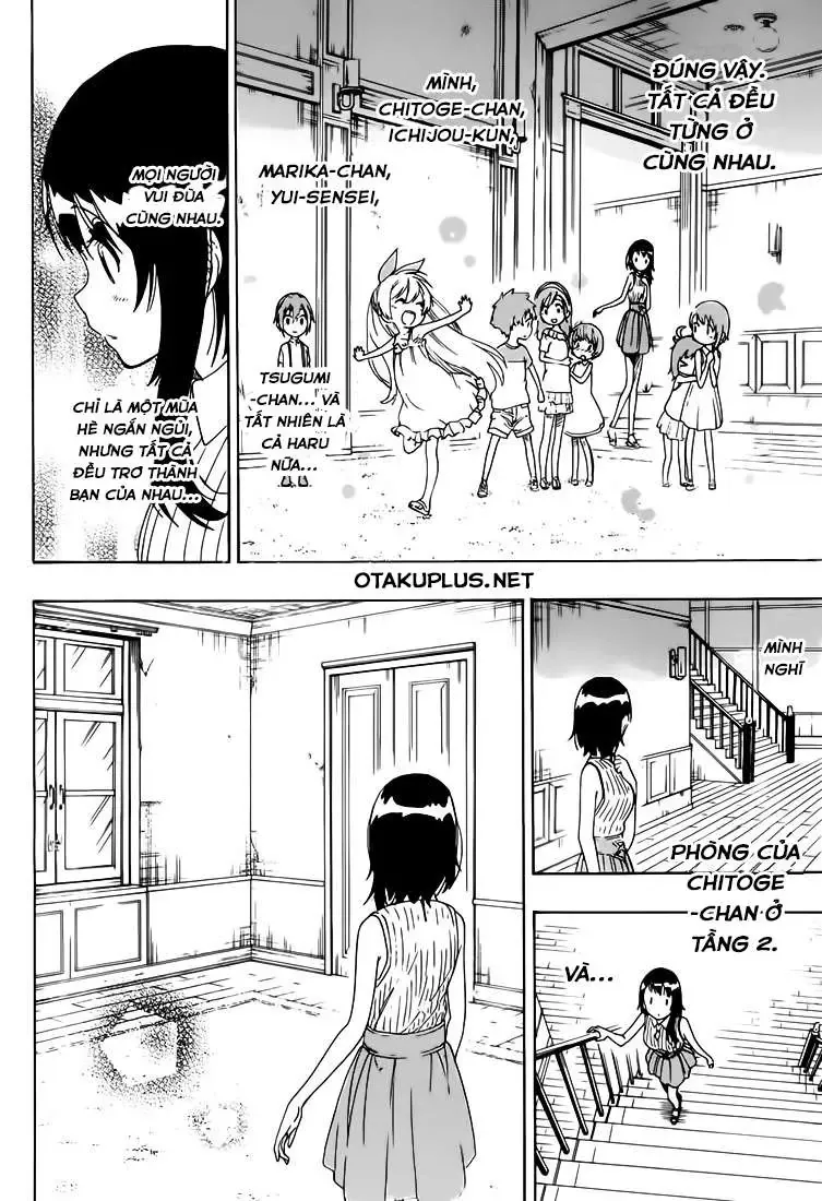 Nisekoi Chapter 220 - 12