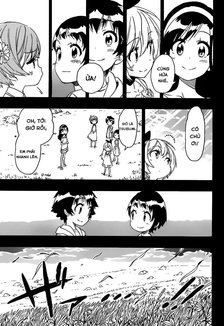 Nisekoi Chapter 221 - 19