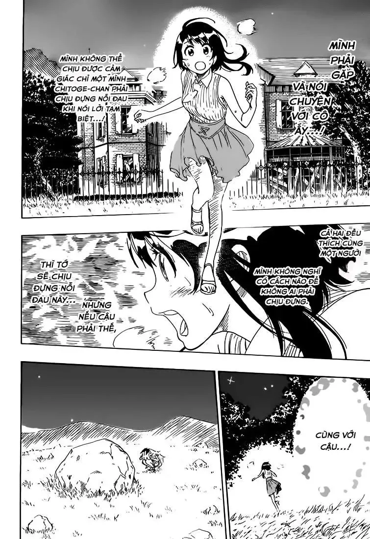 Nisekoi Chapter 222 - 11