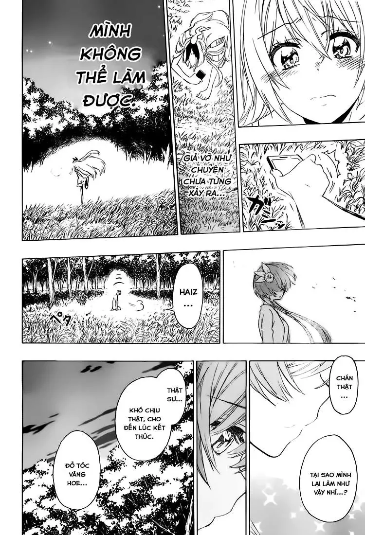 Nisekoi Chapter 224 - 18