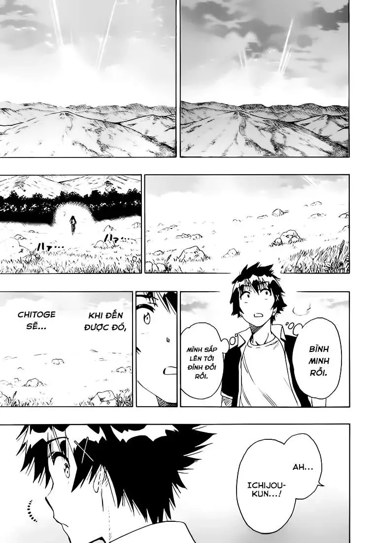 Nisekoi Chapter 224 - 19