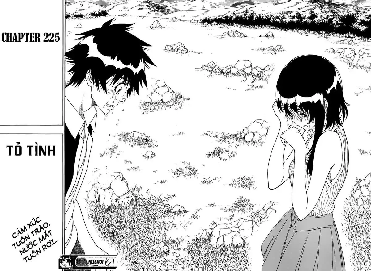Nisekoi Chapter 225 - 19