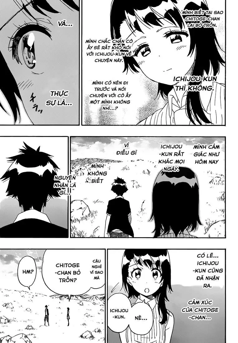 Nisekoi Chapter 225 - 5