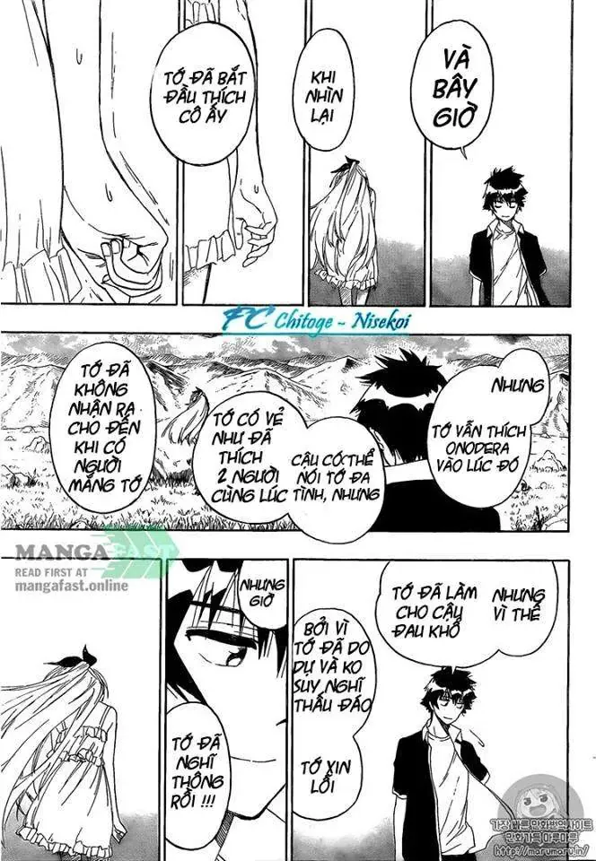 Nisekoi Chapter 227 - 11