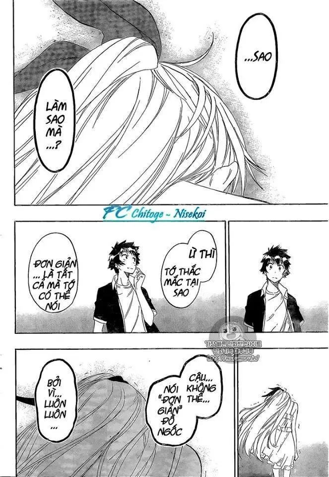Nisekoi Chapter 227 - 12