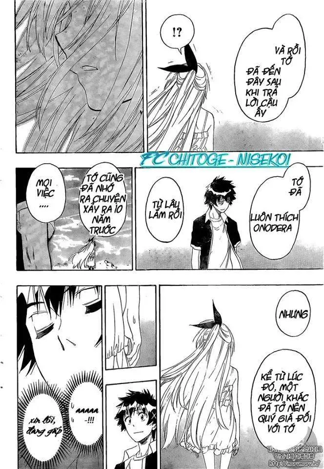 Nisekoi Chapter 227 - 8