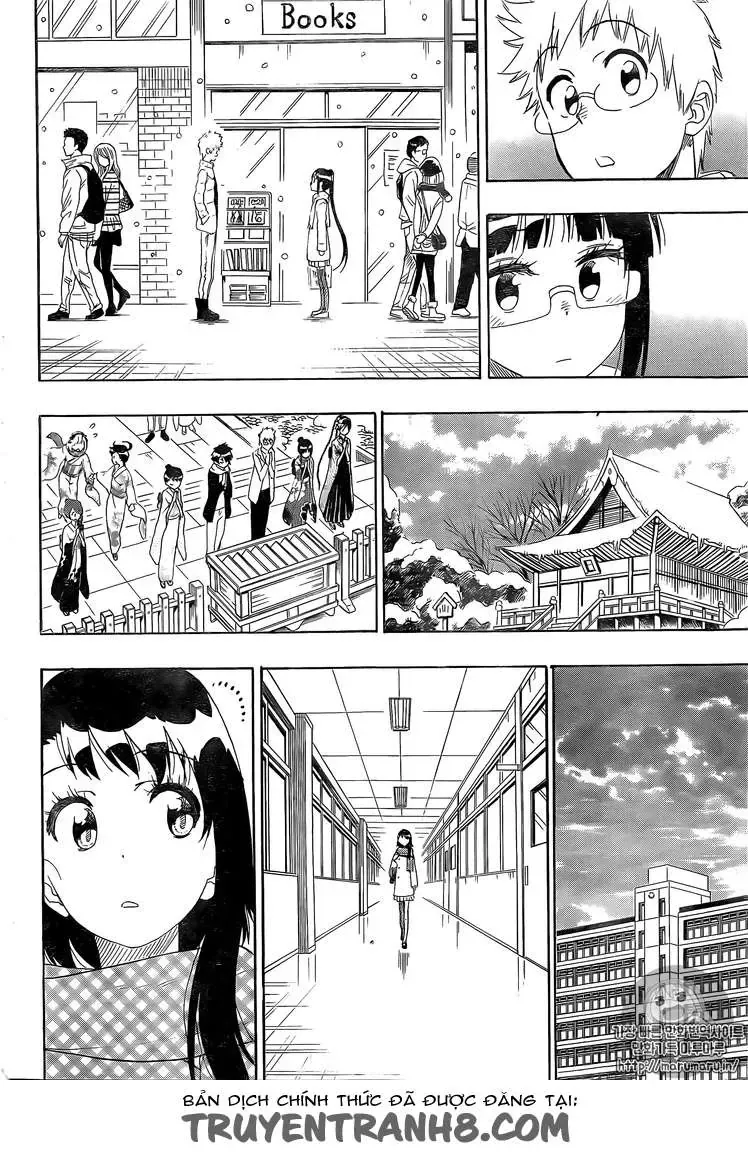 Nisekoi Chapter 228 - 14