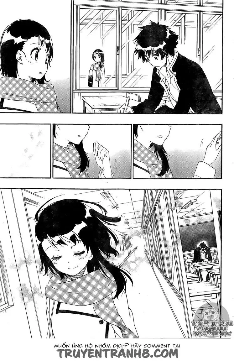 Nisekoi Chapter 228 - 15
