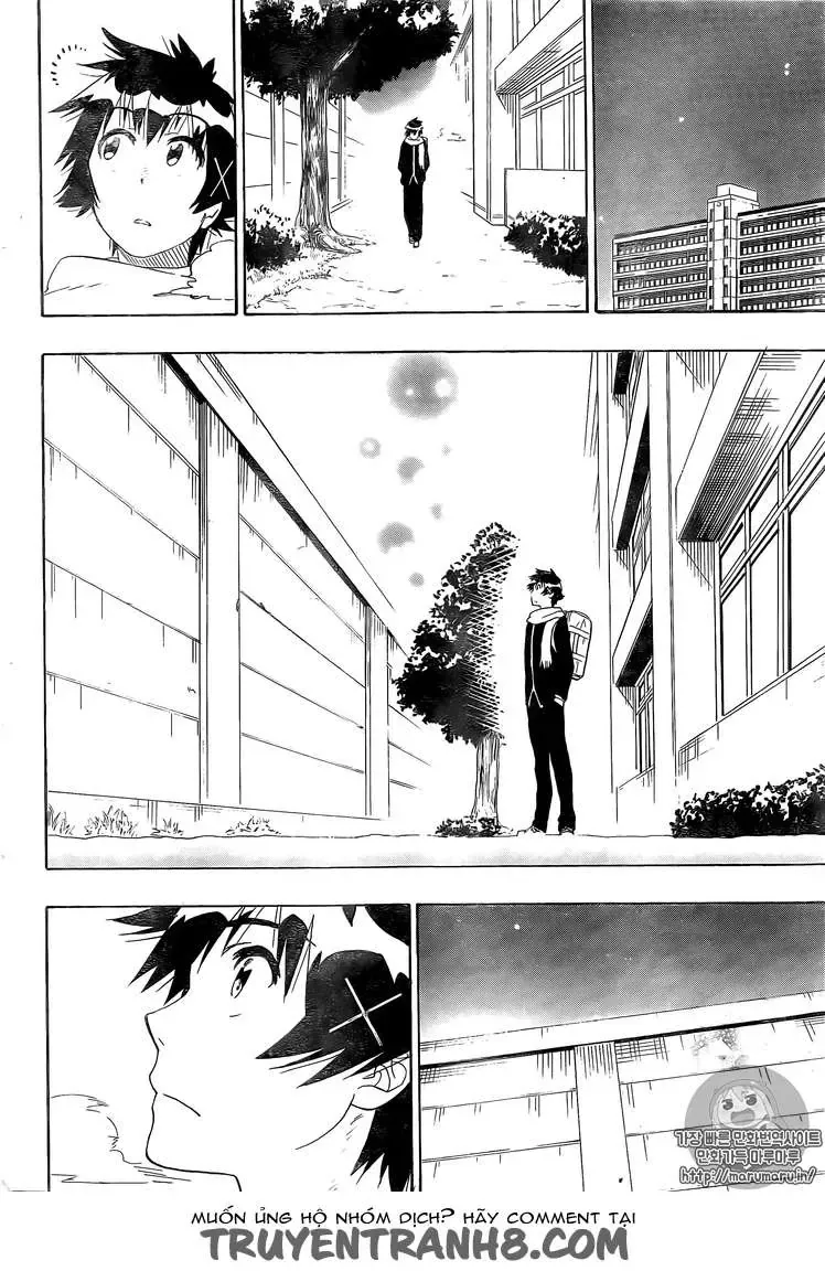 Nisekoi Chapter 228 - 16