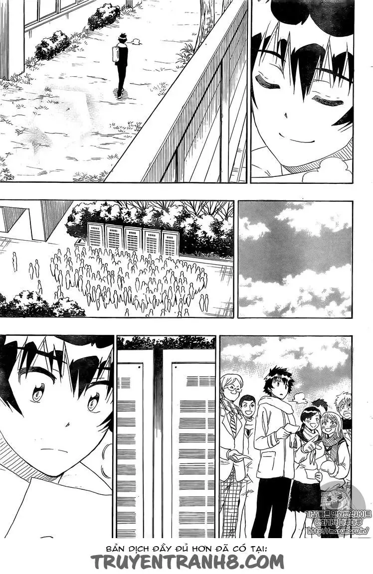 Nisekoi Chapter 228 - 17