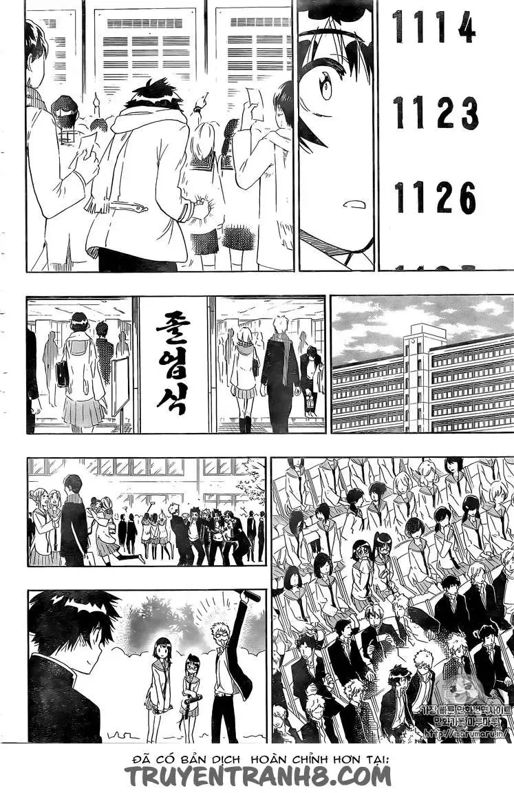 Nisekoi Chapter 228 - 18