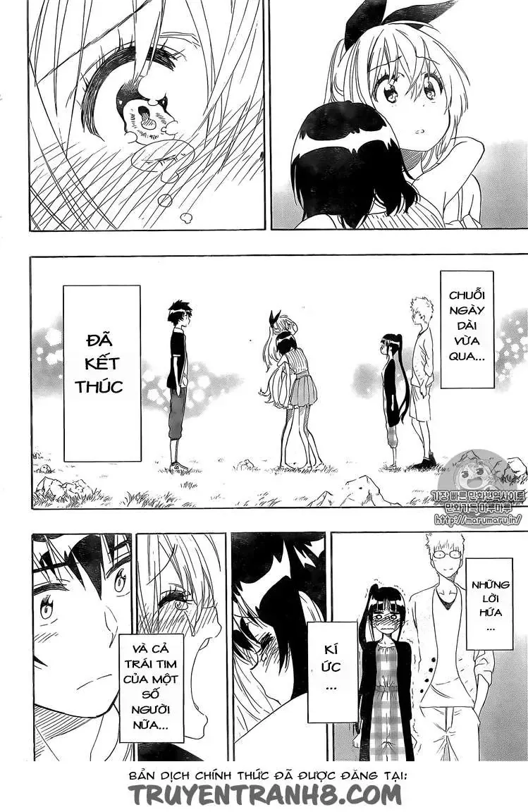 Nisekoi Chapter 228 - 8