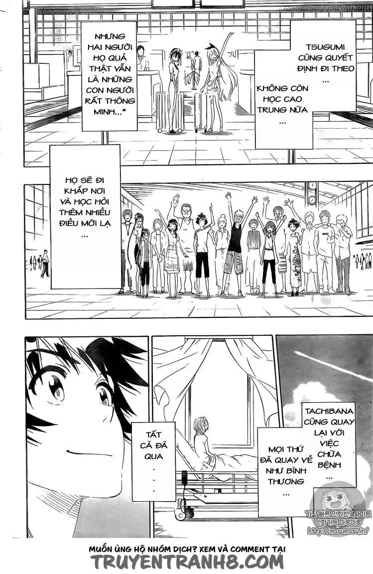 Nisekoi Chapter 228 - 10