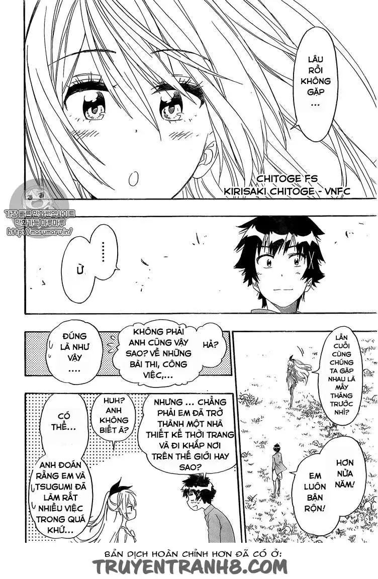 Nisekoi Chapter 229 - 19