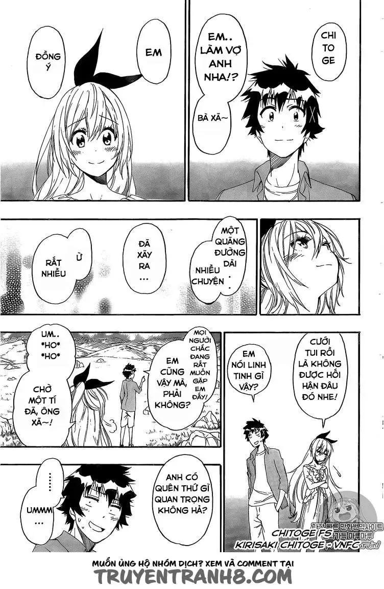 Nisekoi Chapter 229 - 22