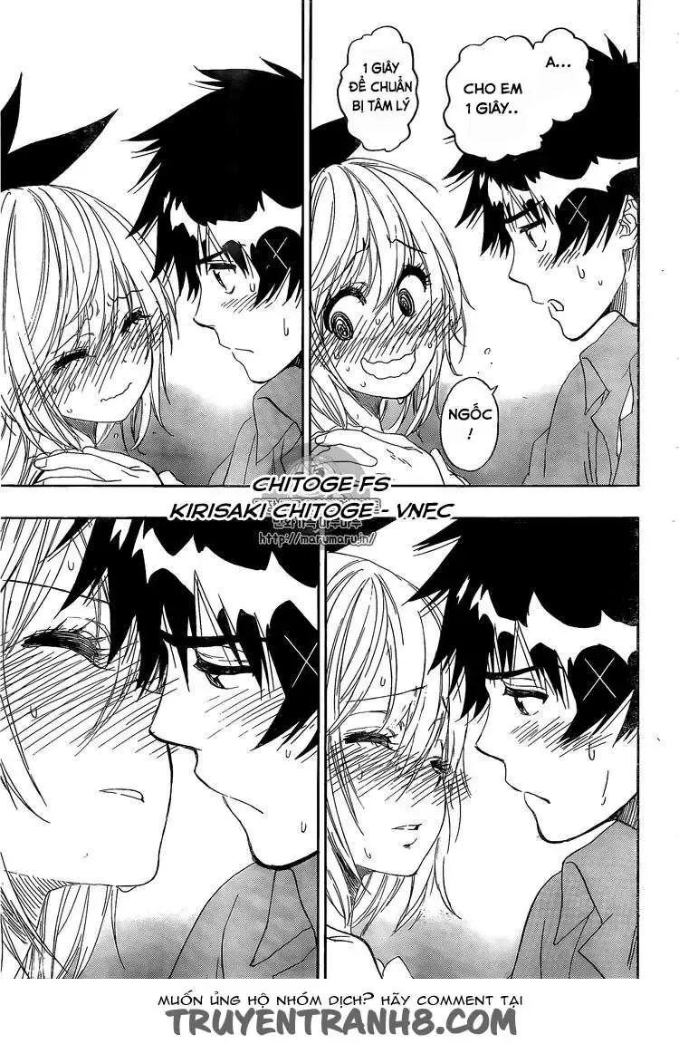 Nisekoi Chapter 229 - 24