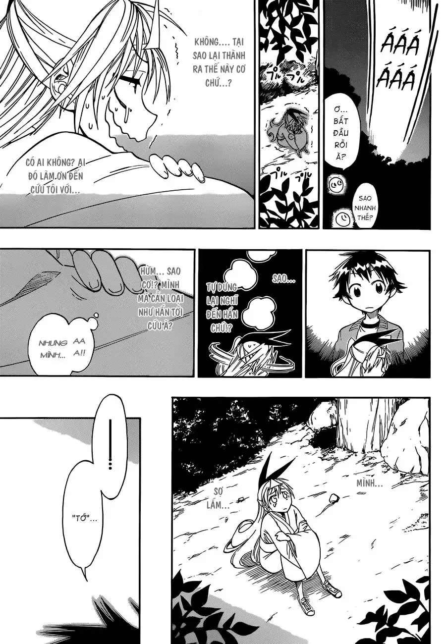 Nisekoi Chapter 24 - 19