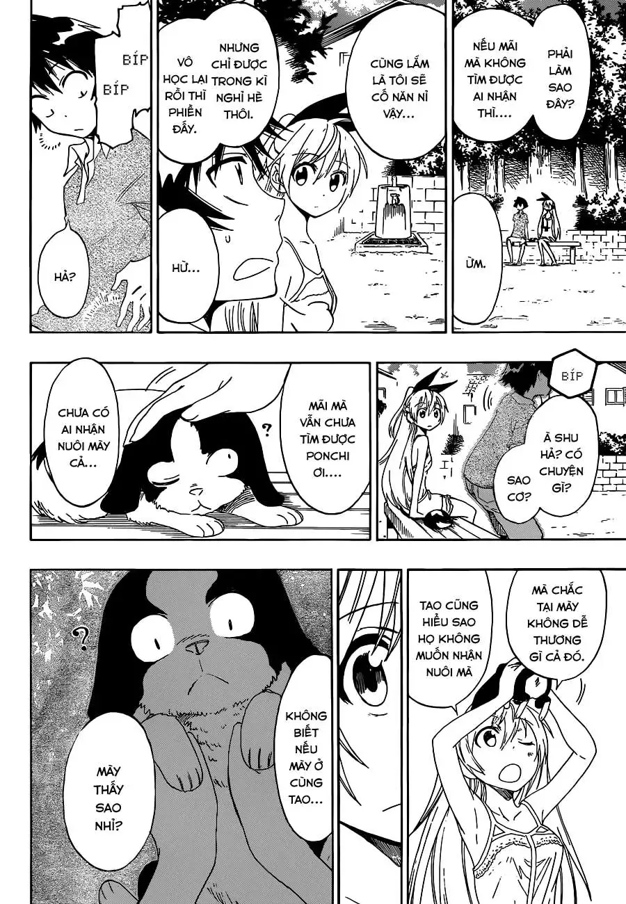 Nisekoi Chapter 41 - 15