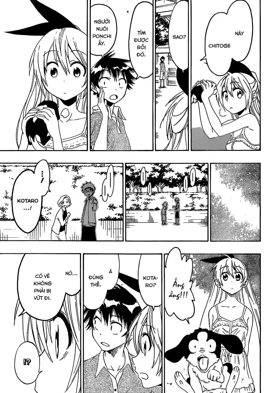 Nisekoi Chapter 41 - 16