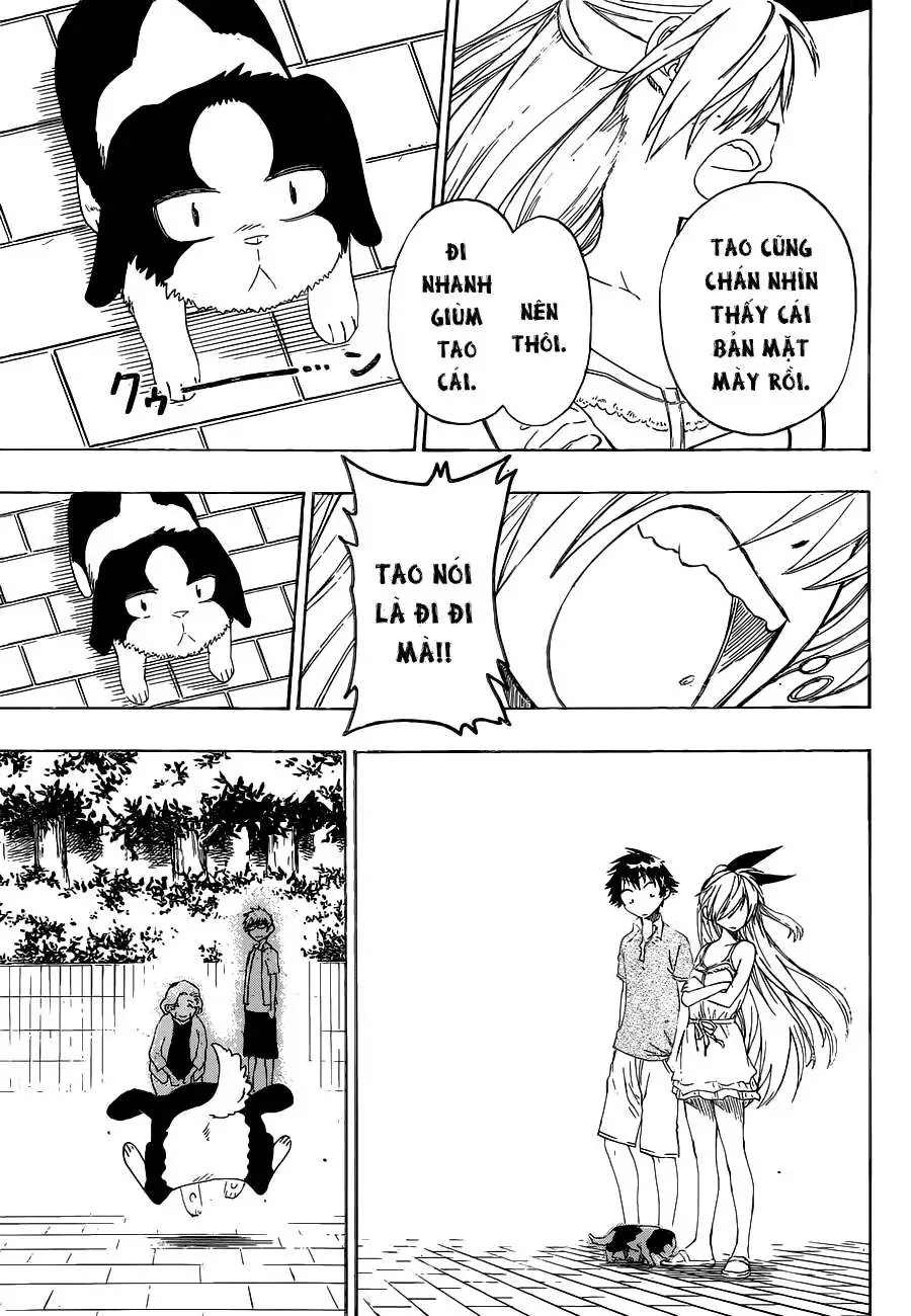 Nisekoi Chapter 41 - 18