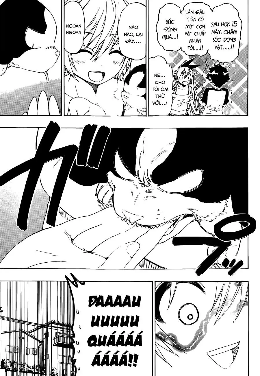 Nisekoi Chapter 41 - 6