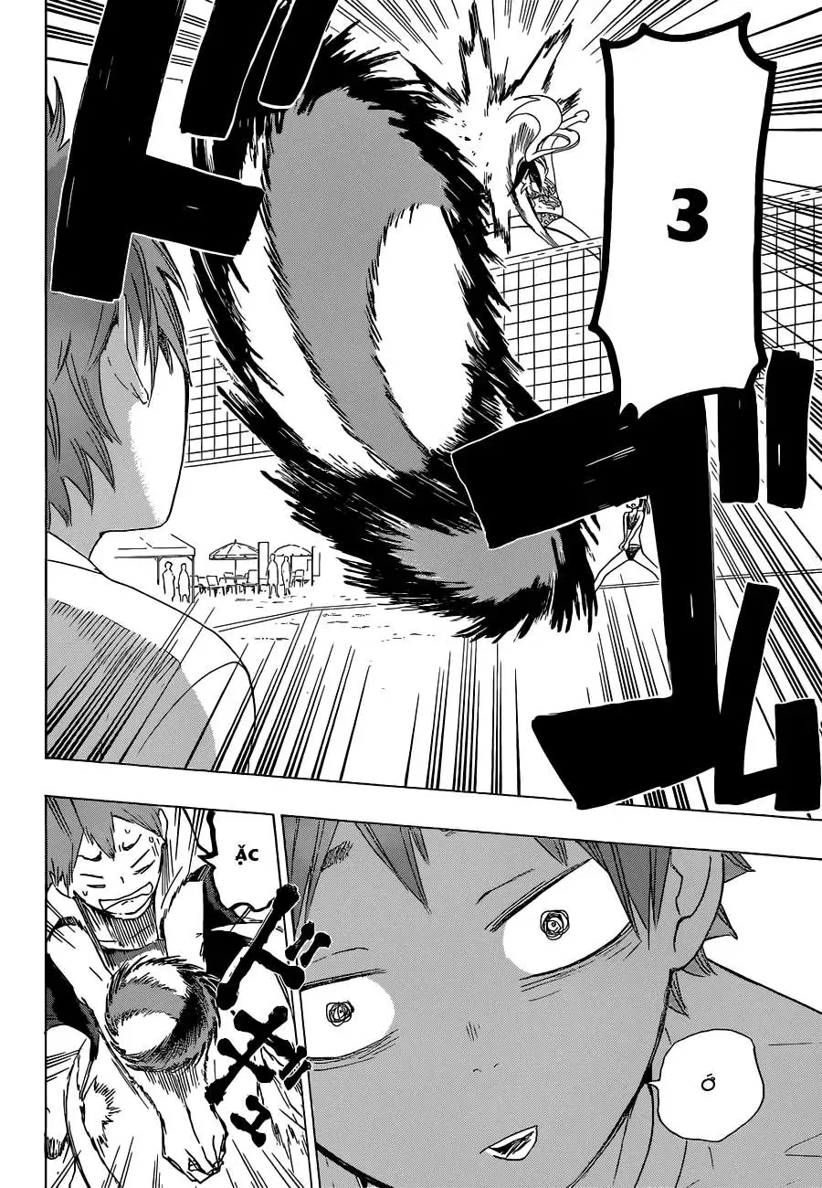 Nisekoi Chapter 57.5 - 10