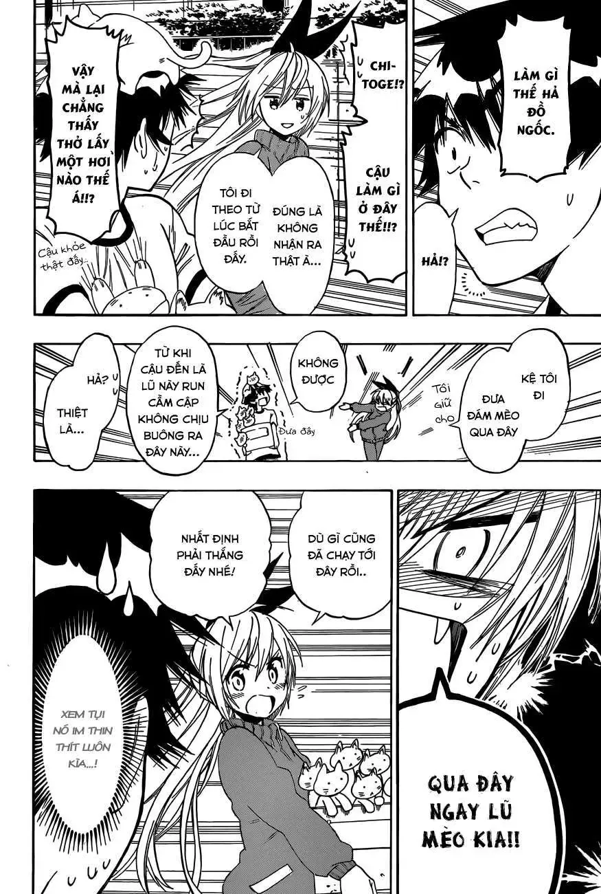 Nisekoi Chapter 73 - 11