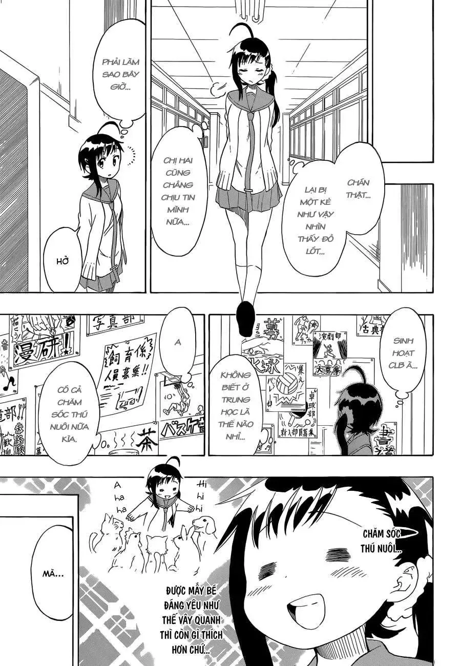 Nisekoi Chapter 76 - 15