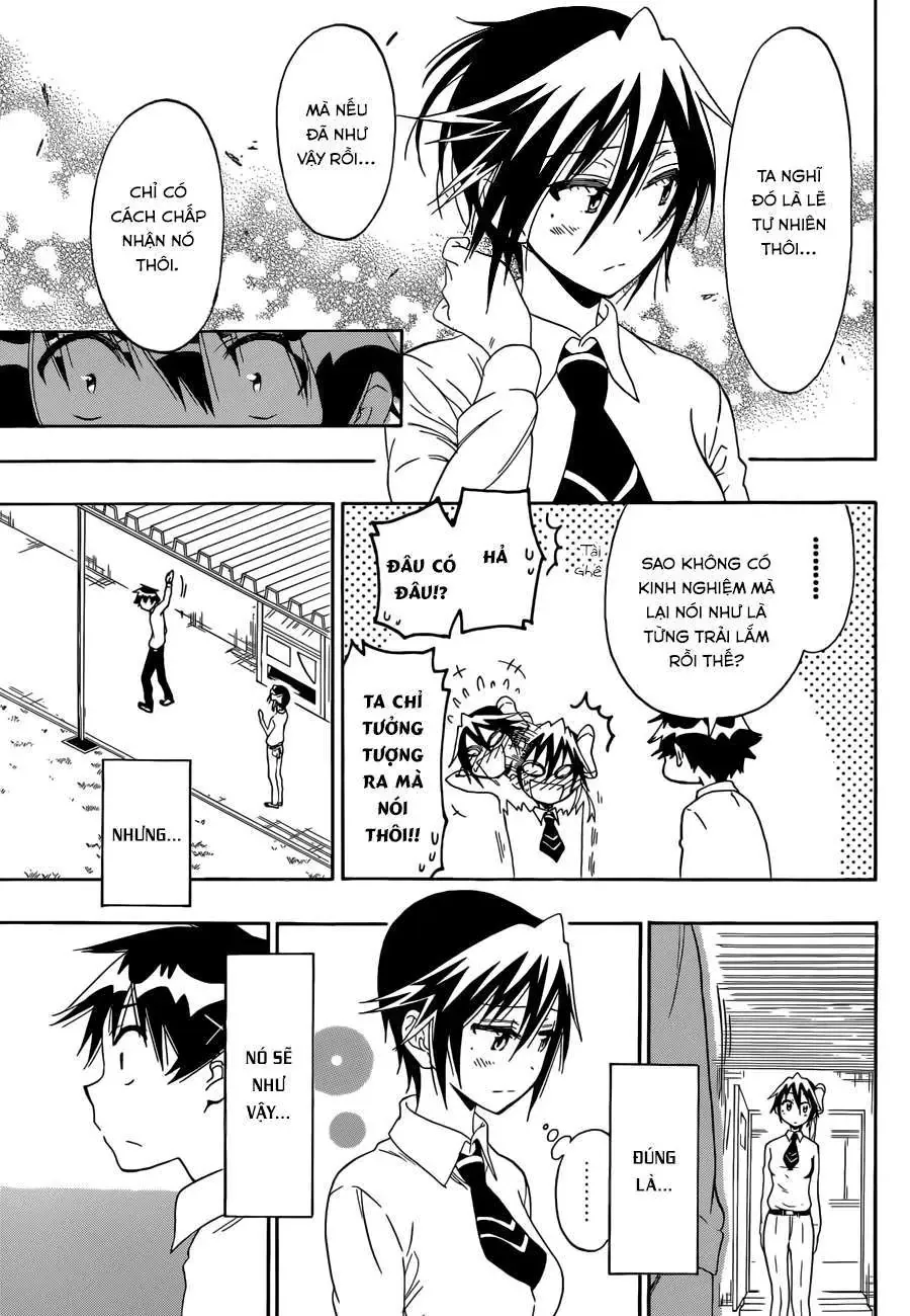 Nisekoi Chapter 84 - 14