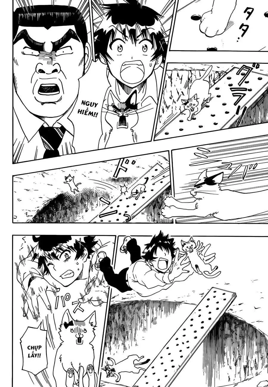 Nisekoi Chapter 88.5 - 5